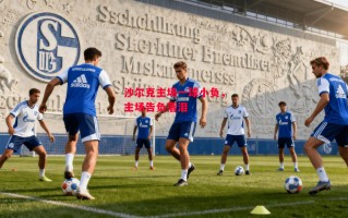 易胜博体育-沙尔克主场一球小负，主场告负落泪