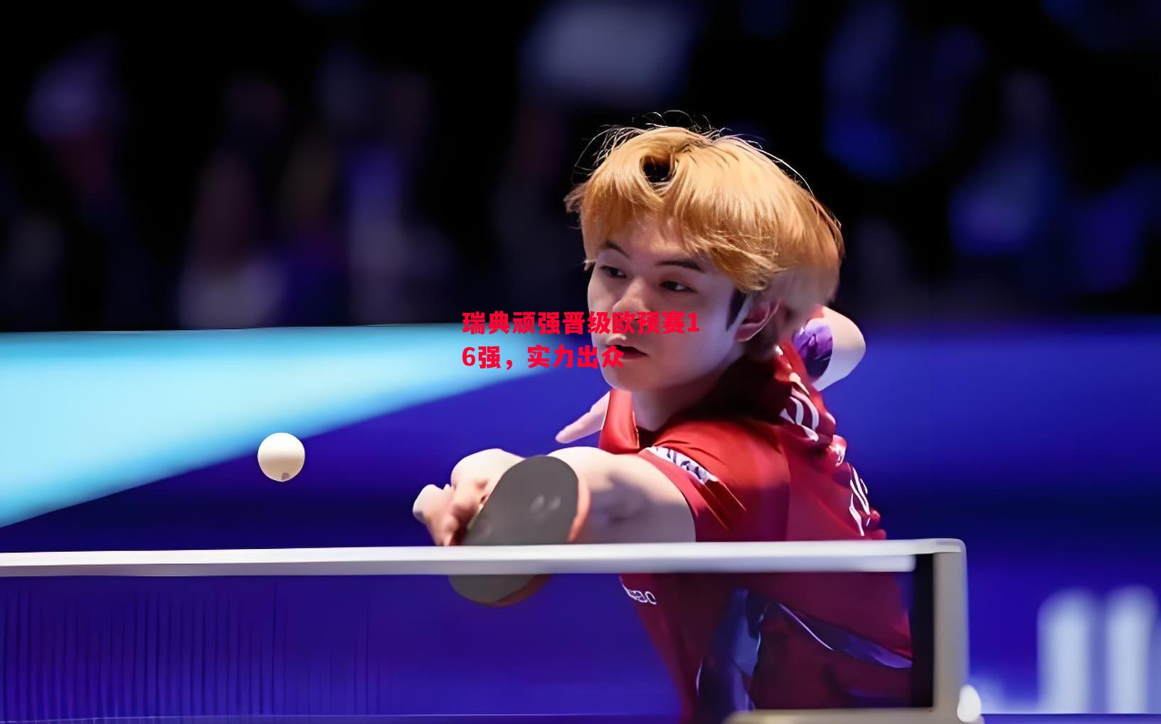 易胜博体育官方网站-瑞典顽强晋级欧预赛16强，实力出众-第2张图片-易胜博体育